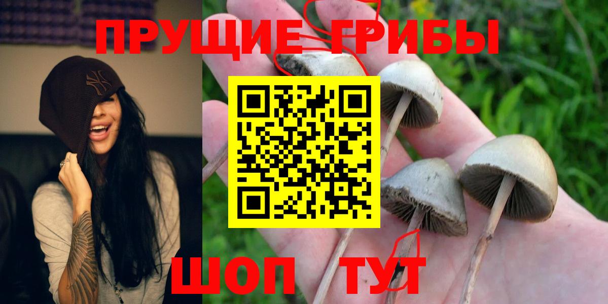 Псилоцибиновые грибы MAGIC MUSHROOMS  Псилоцибиновые грибы GOLDEN TEACHER  Уварово  Вход с VPN 